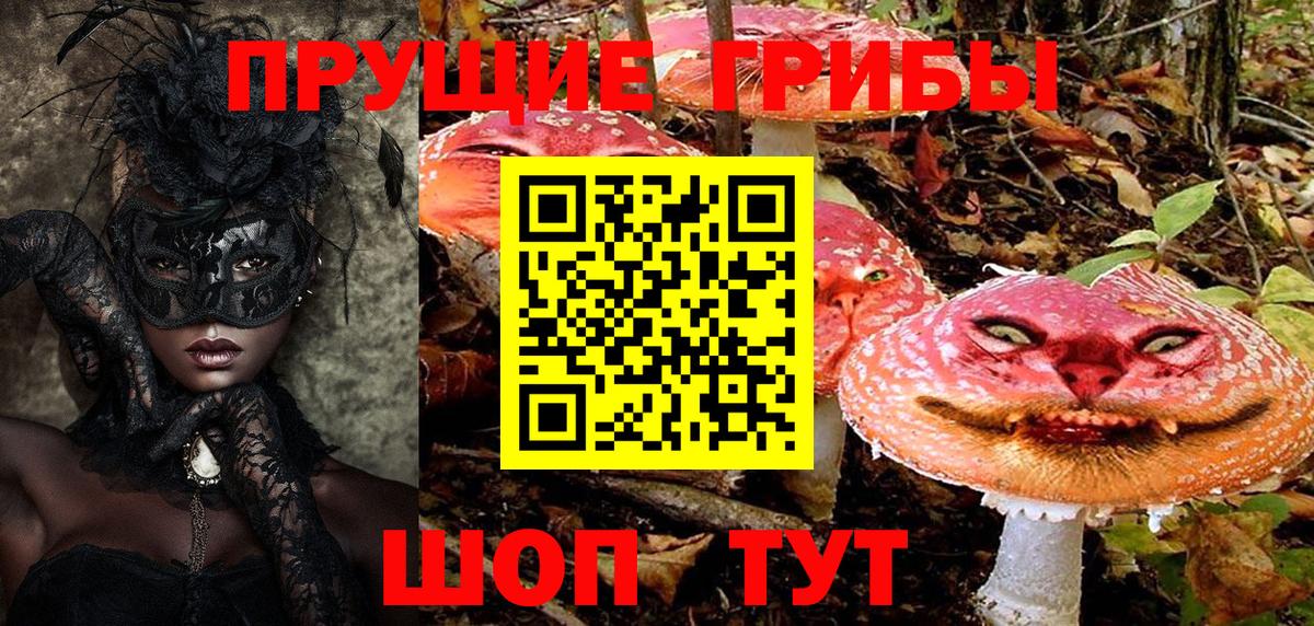 Псилоцибиновые грибы GOLDEN TEACHER  где продают наркотики  Йошкар-Ола  Вход с VPN  Галлюциногенные грибы MAGIC MUSHROOMS 